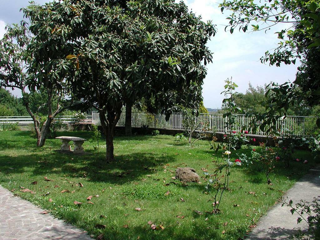 Oasi Di Pace Hotel Sutri Ngoại thất bức ảnh